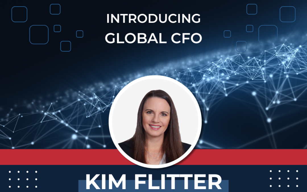 Immix CFO Kim Flitter